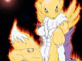 ++++ Yiffy Hentai Digimon - Renamon - hot n sexy.jpg